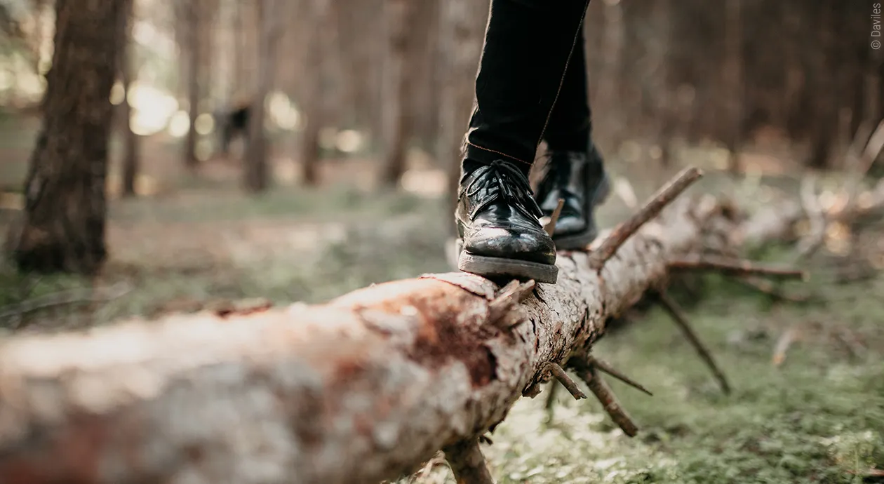 Nogi osoby chodzącej po drewnianej kłodzie w lesie.